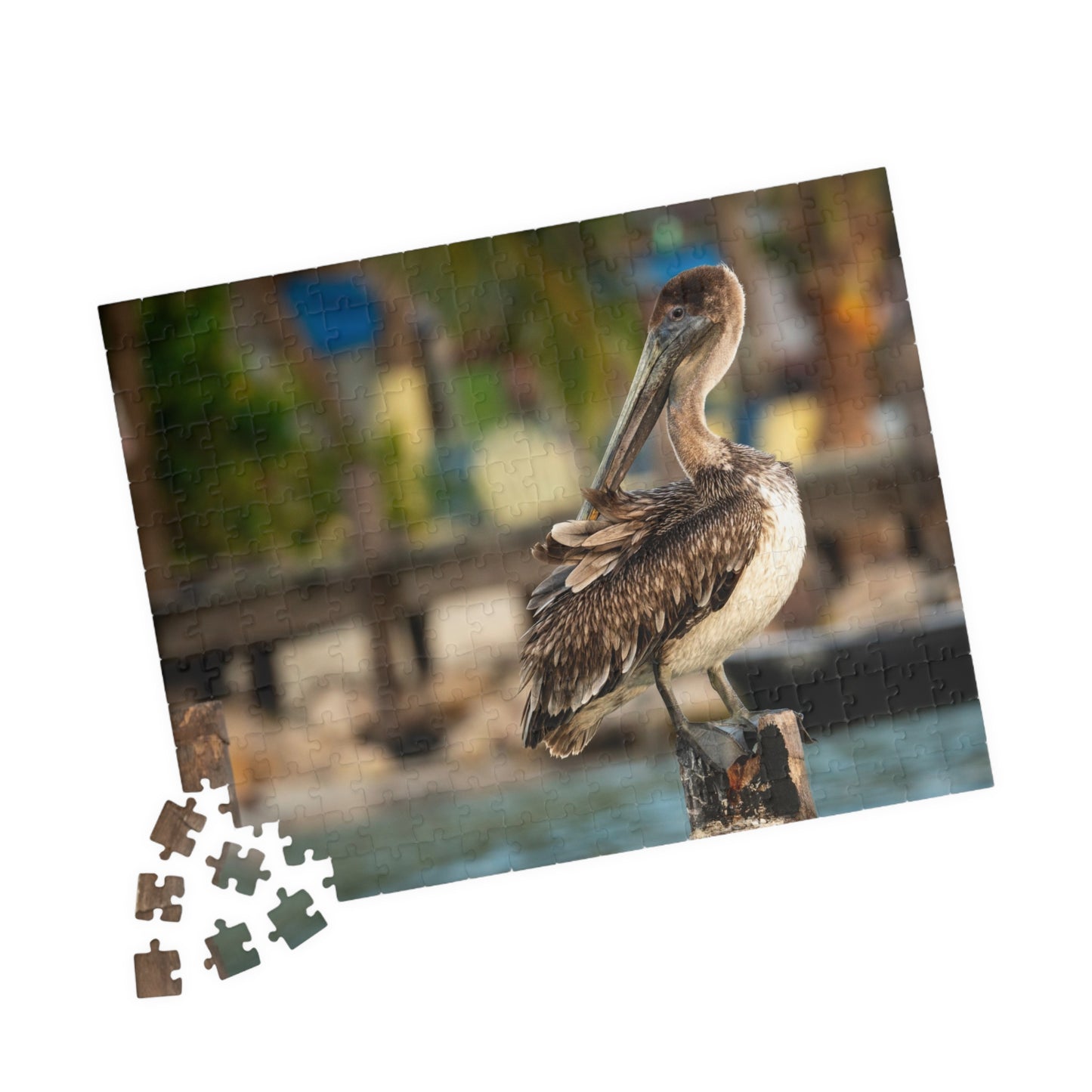Caye Caulker Brown Pelican Dock Puzzle — 520/1014-Piece Belize Jigsaw