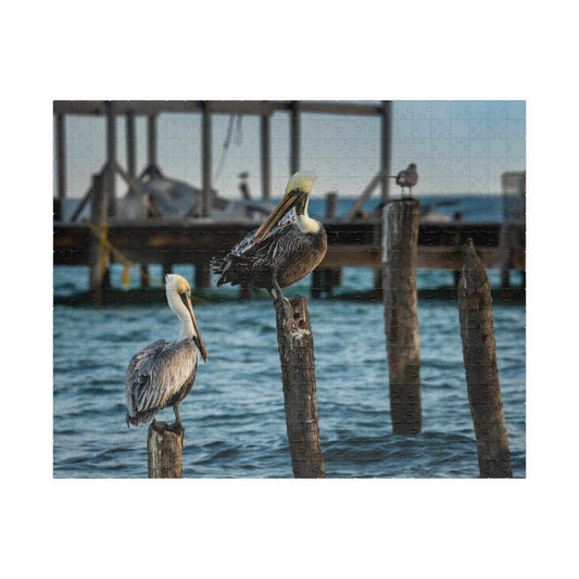 Caye Caulker Pelican Harbor Puzzle - Scenic Belize Island Panorama (252–1014 pcs)