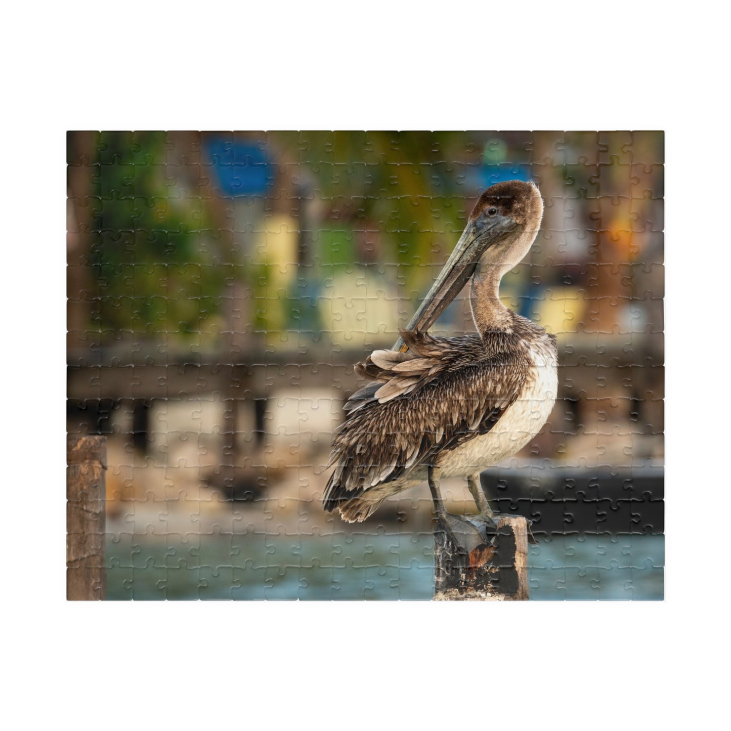 Caye Caulker Brown Pelican Dock Puzzle — 520/1014-Piece Belize Jigsaw