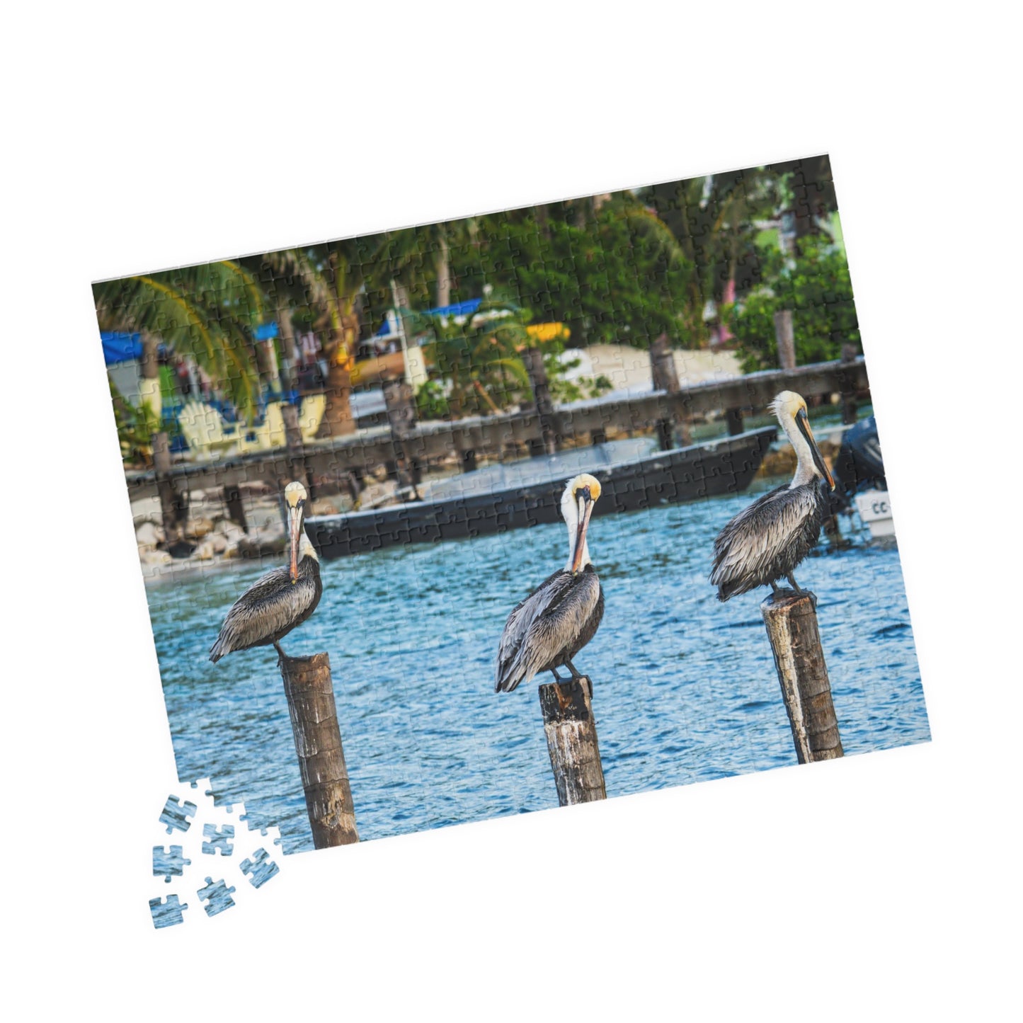 Pelican Harbor Jigsaw Puzzle — Scenic Coastal Bird Photography Puzzle (110–1014 pcs)