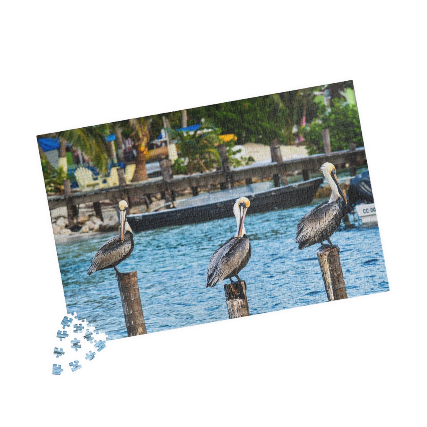 Pelican Harbor Jigsaw Puzzle — Scenic Coastal Bird Photography Puzzle (110–1014 pcs)