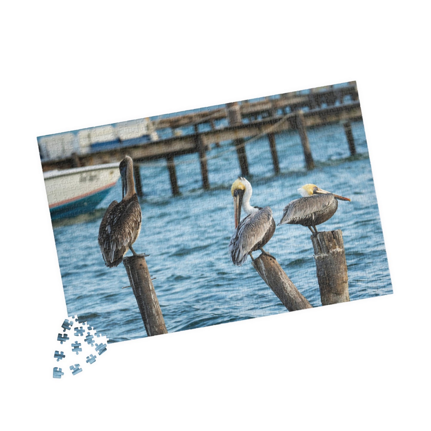 Caye Caulker Brown Pelicans Jigsaw Puzzle - 520/252/110/1014-Piece Coastal Scene