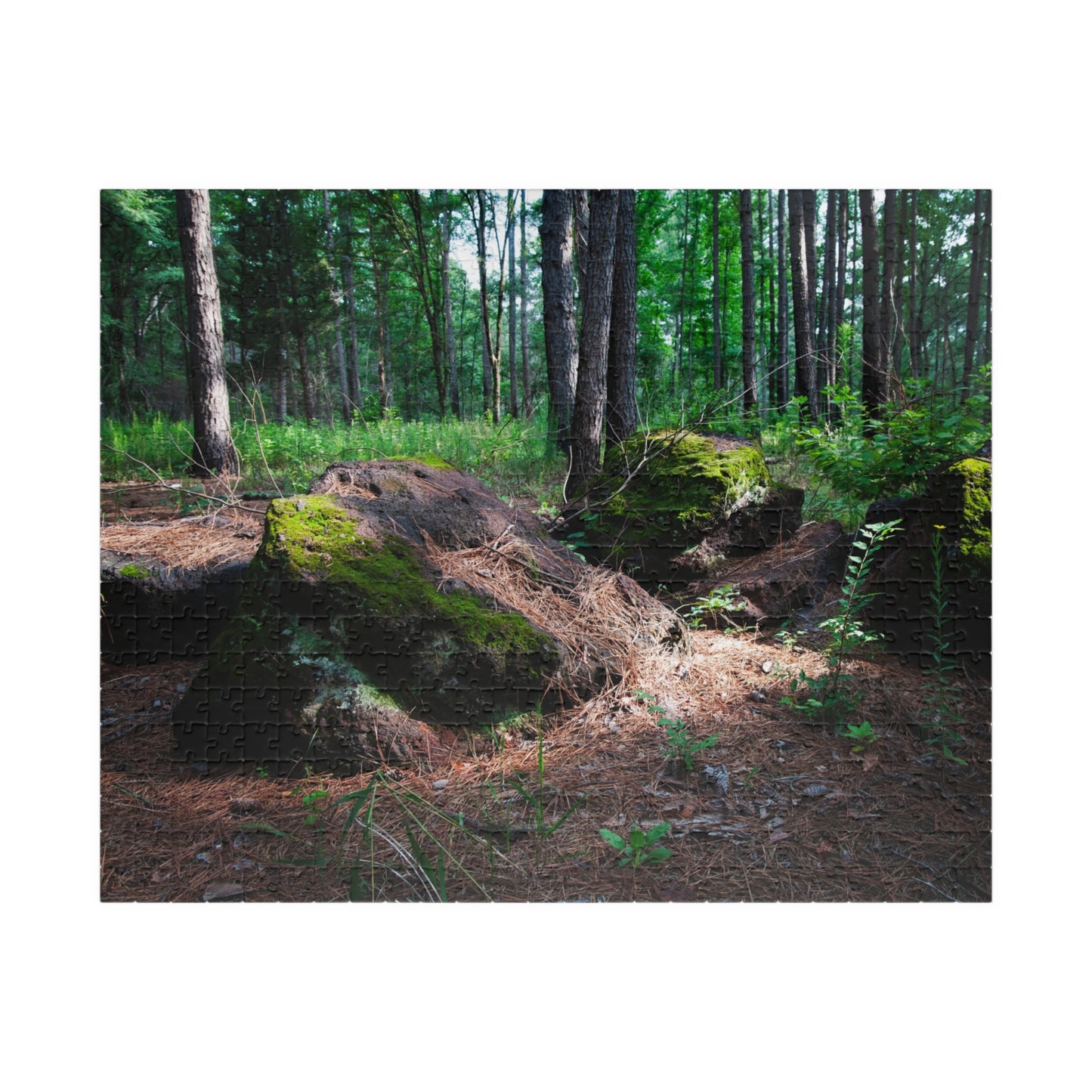 Forest Moss Trail Puzzle — Scenic Woodland Jigsaw (110/252/520/1014 pcs)