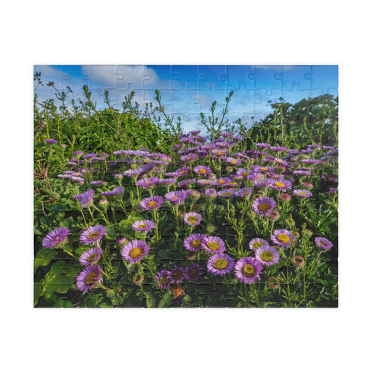 Cornwall Seaside Daisy Puzzle — Praa Sands Coastal Flower Jigsaw (520 pieces)
