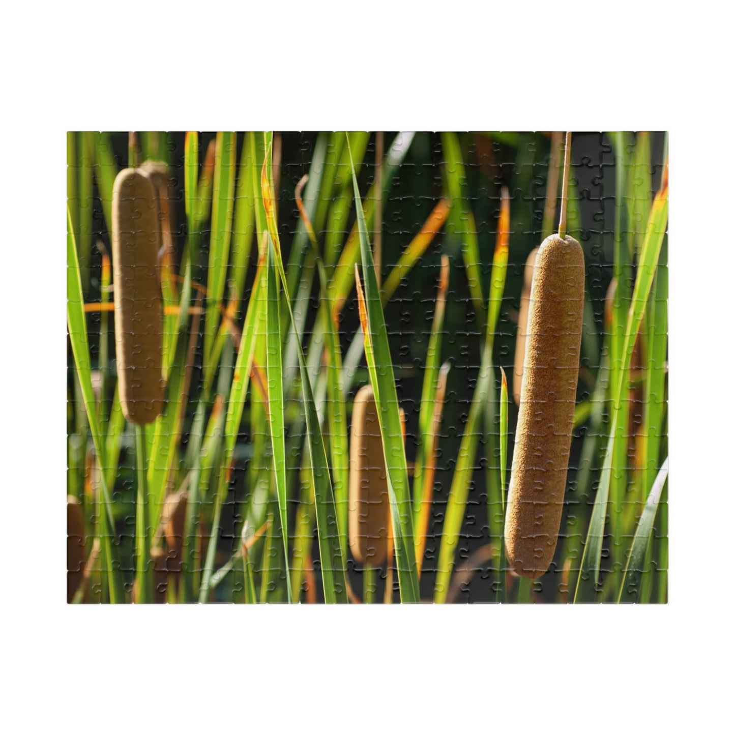 Cattail Marsh Nature Puzzle — Scenic Jigsaw (110/252/520/1014 pcs)